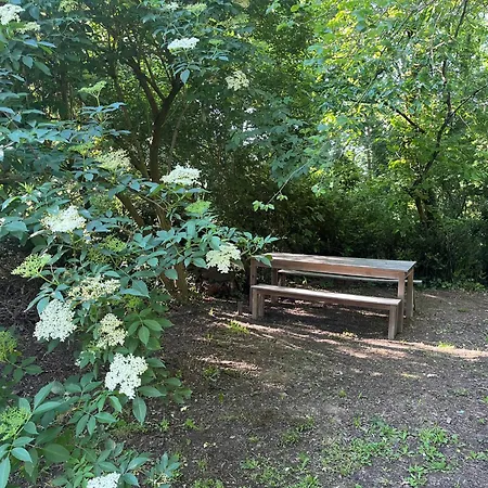 Maison De Campagne * Saint-Saturnin-sur-Loire