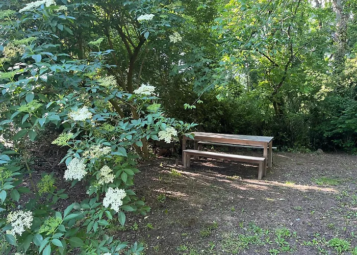 Maison De Campagne * Saint-Saturnin-sur-Loire